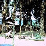 "Quan Loi Village March 68 - ABtry 6/27th Arty"